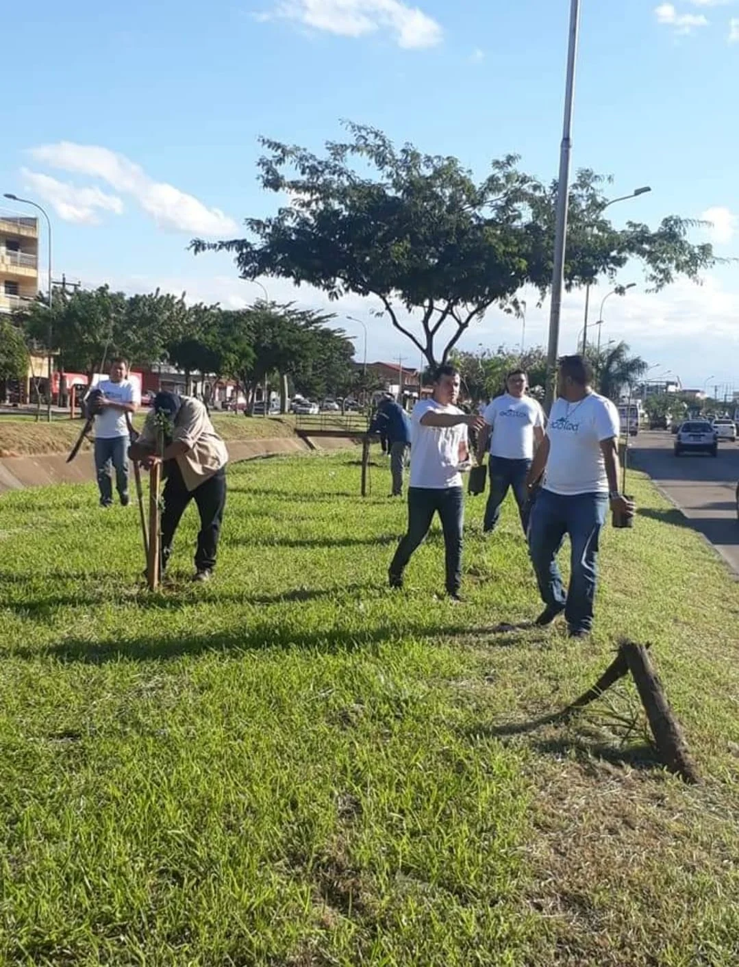 Choferes de Ecotaxi plantando árboles - Compromiso ecológico